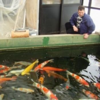 Japanreise 2007 Bauer Stefan